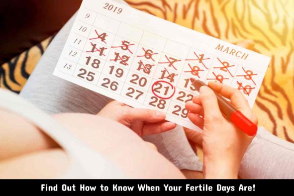 Find Out How to Know When Your Fertile Days Are!