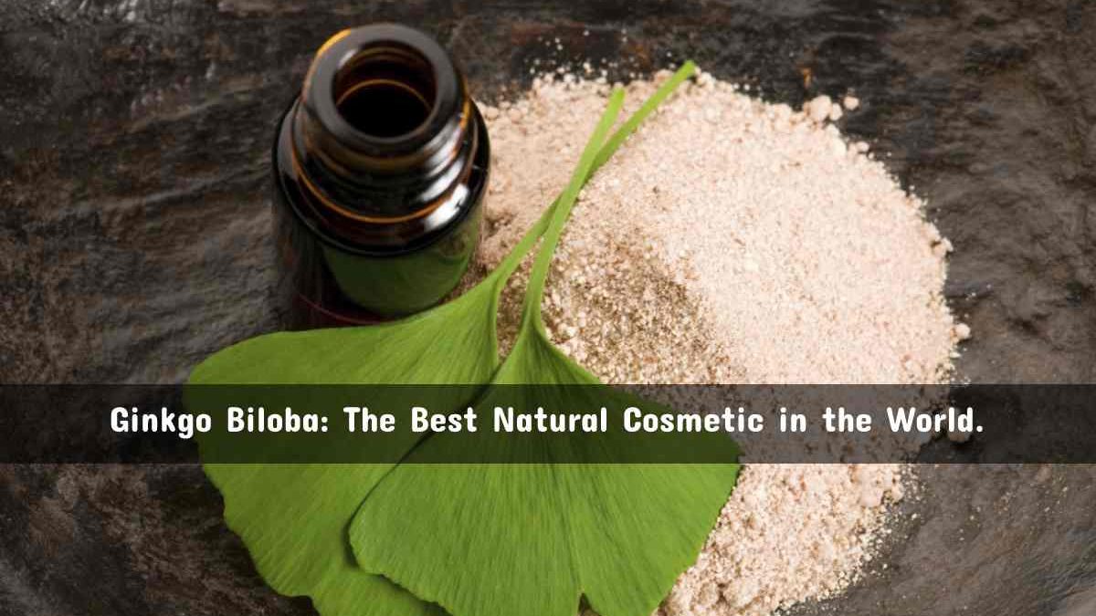 Ginkgo Biloba: The Best Natural Cosmetic in the World.